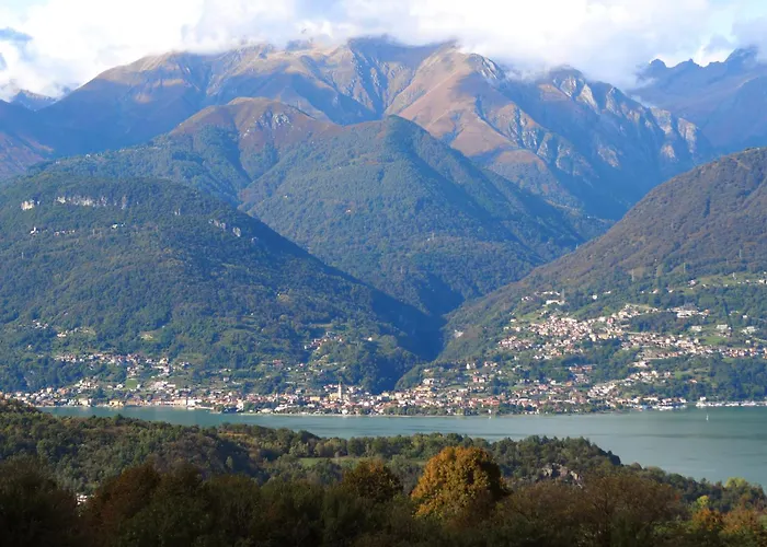 Perlino فيلة